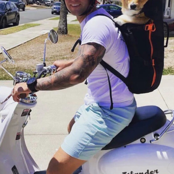 🐾 Little Chonk “Maxine One” Dog Backpack – Bark After Dark Black - Picture 4 of 6